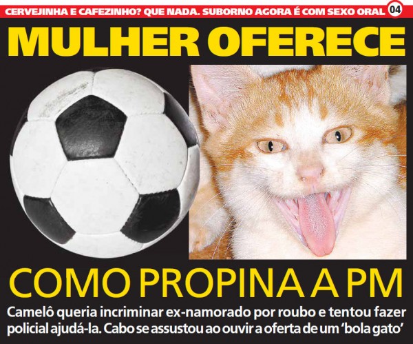 "Mulher oferece bola gato como propina a PM"